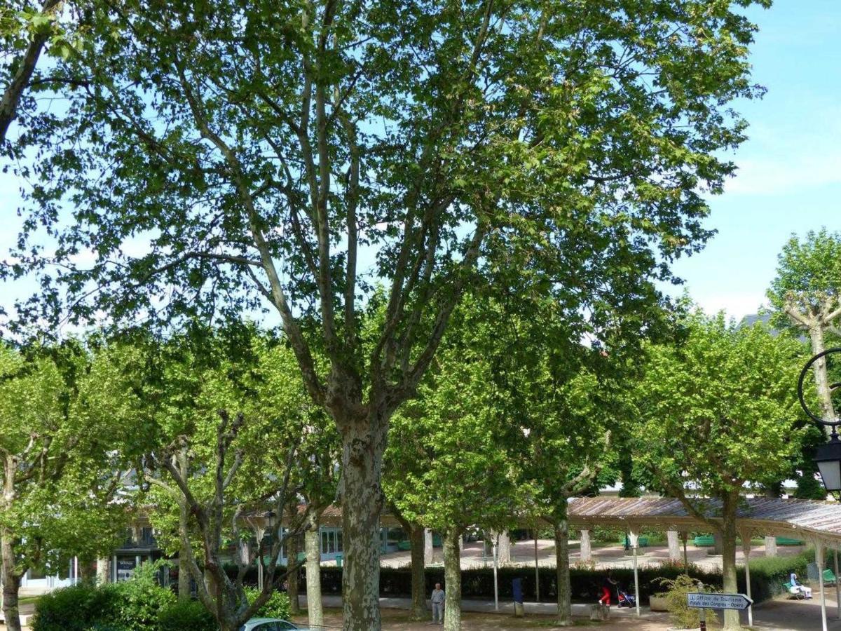 Appartement Elegant Et Confortable Au Coeur De Vichy, Pres De L'Opera Et Des Parcs Napoleon III - Fr-1-489-303 Εξωτερικό φωτογραφία